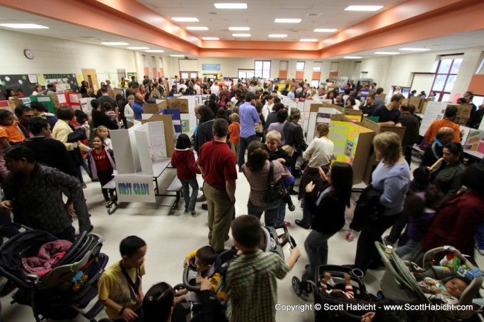 The science fair was a bit of a zoo with more than one volcano.