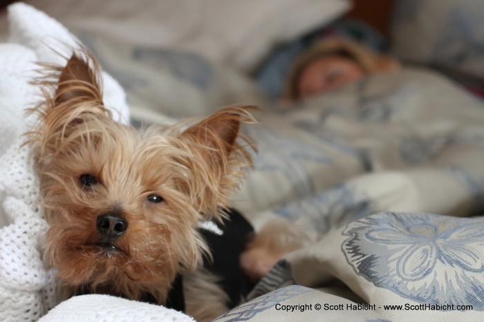 Of course, what would a beach trip be without these two napping in bed together.