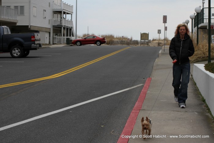 Walks are also part of their routine.