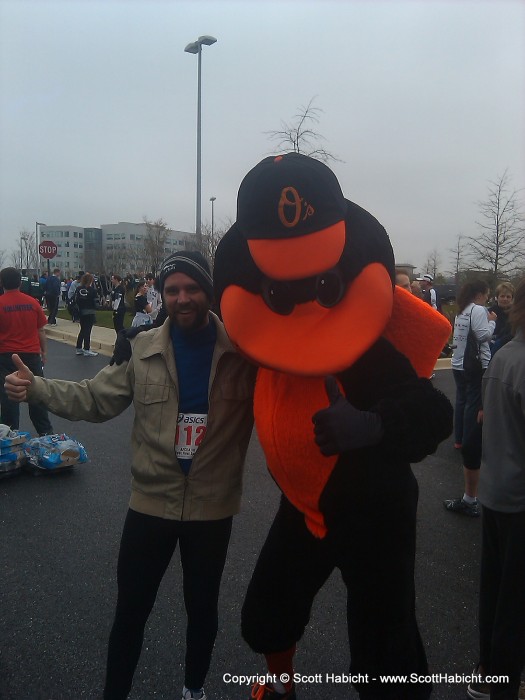 The Oriole bird was at a post race celebration...