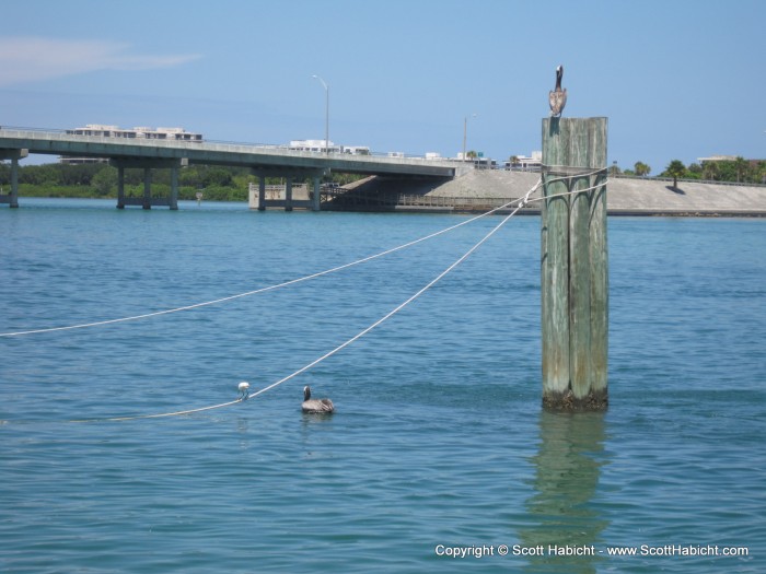 View from the Salty Dog Restaurant's deck.