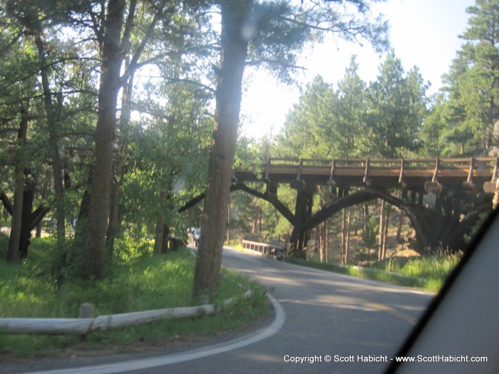 The scenic drive to Mt. Rushmore.