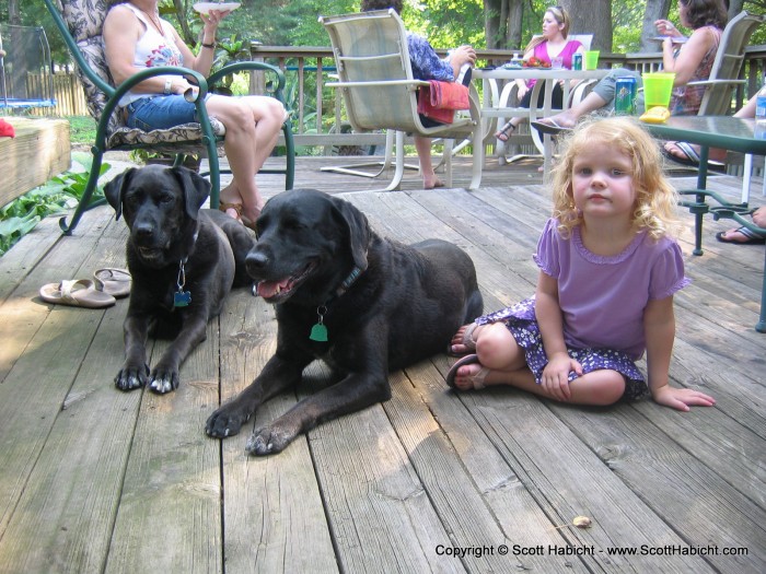 She wanted a picture with her dogs. Who am I to say no.