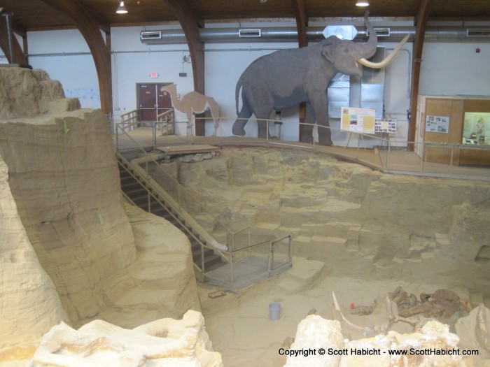 At the mammoth site, you can see the actual animal bones still in the ground.