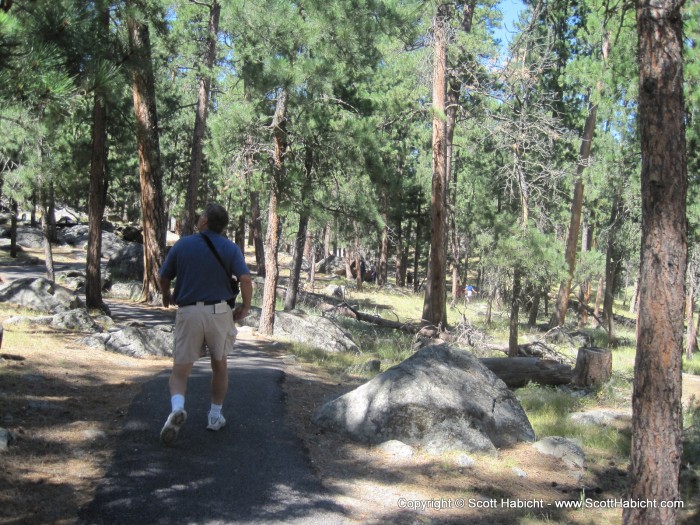 Hiking around the tower and through the woods.