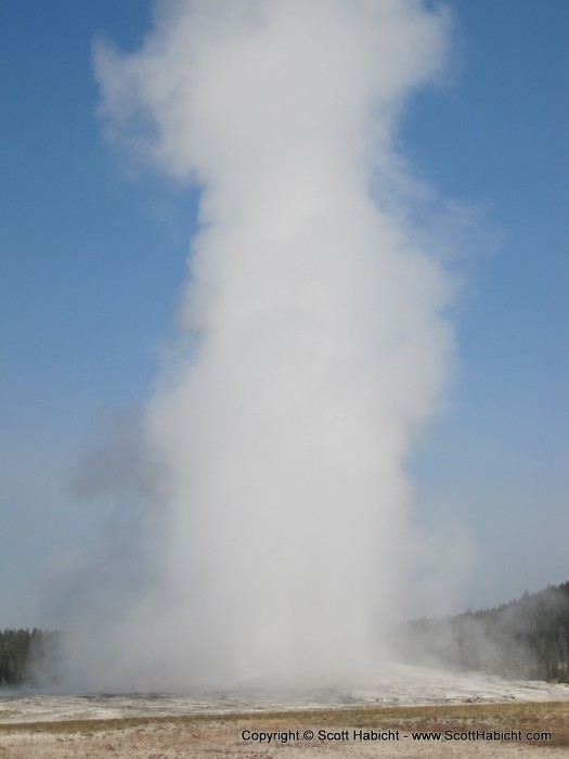 Old Faithful in all its glory.