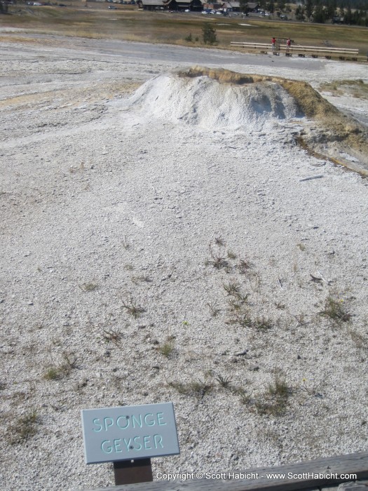 A few random geysers.