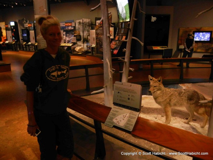 This was inside the visitors center at Old Faithful