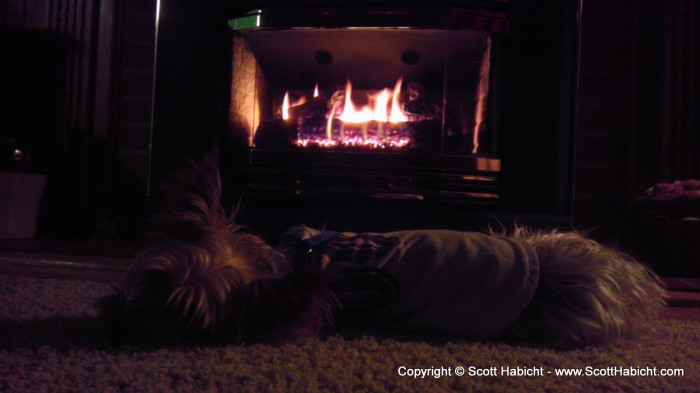 Riley loves lying in front of the fireplace.