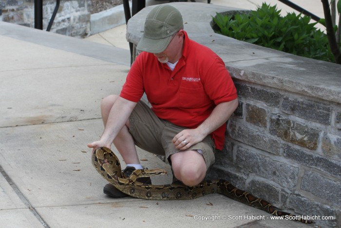 While waiting in line there were several zoo animals brought out for everyone to see, including this snake.