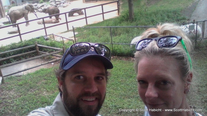 Kelli and I posed for a picture with the elephants.