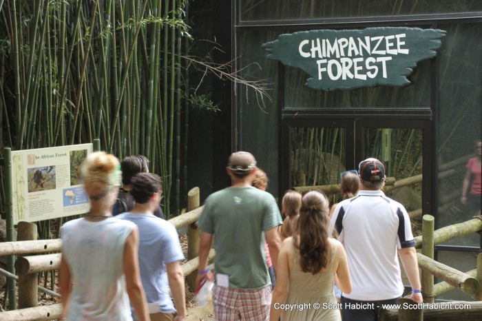 It was just past 4pm when we entered the Chimpanzee forest.