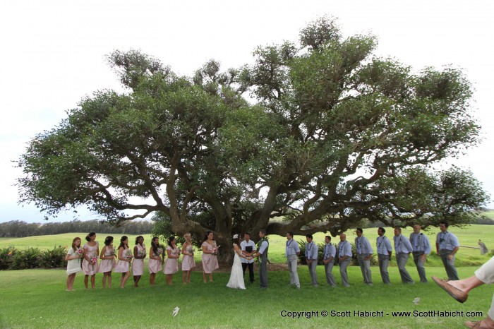 The wedding party was really large, but Bridey has a lot of brothers and sisters.