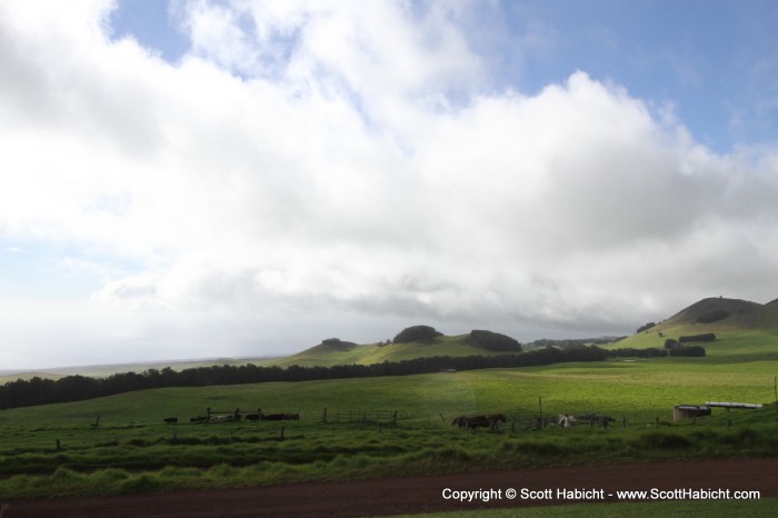 The landscape was iconic of Hawaii...