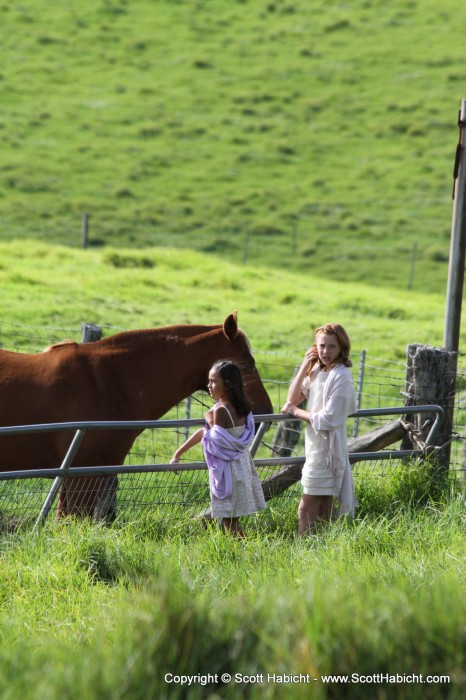 And the kids loved playing with the horses.