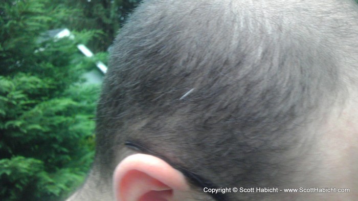 And discussed Mathew's first grey hair.