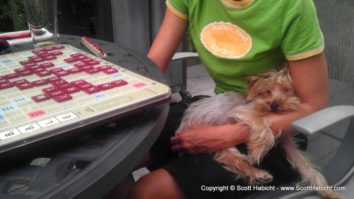 Playing Scrabble on the deck, and Riley was just too tired.