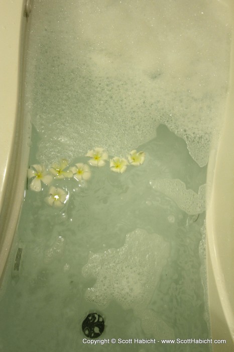 And I drew a bath for Kelli using the flowers.