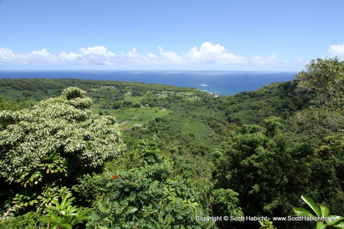 It was wild how quickly the elevation dropped to the ocean.