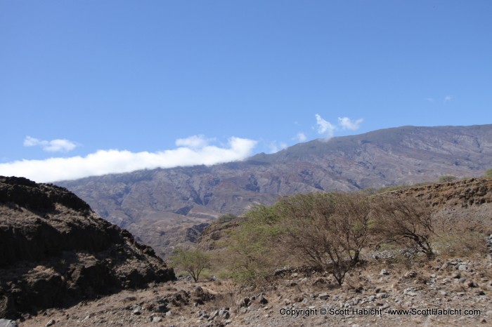 This side of the island is much drier.