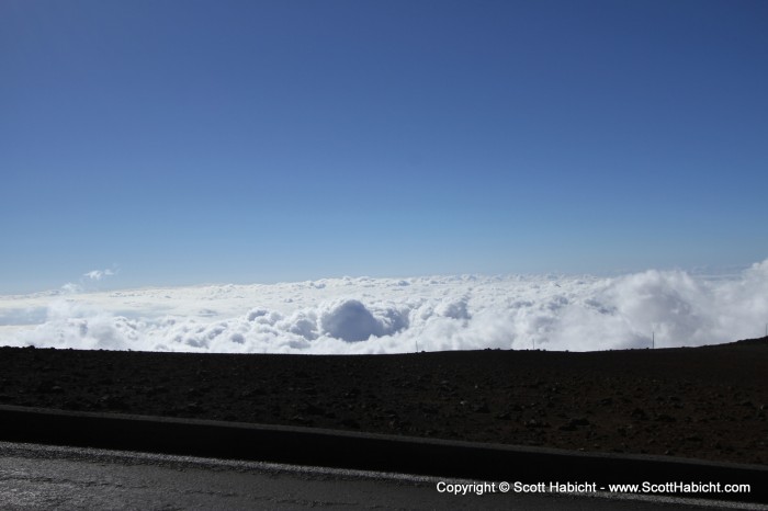 Life above the clouds.