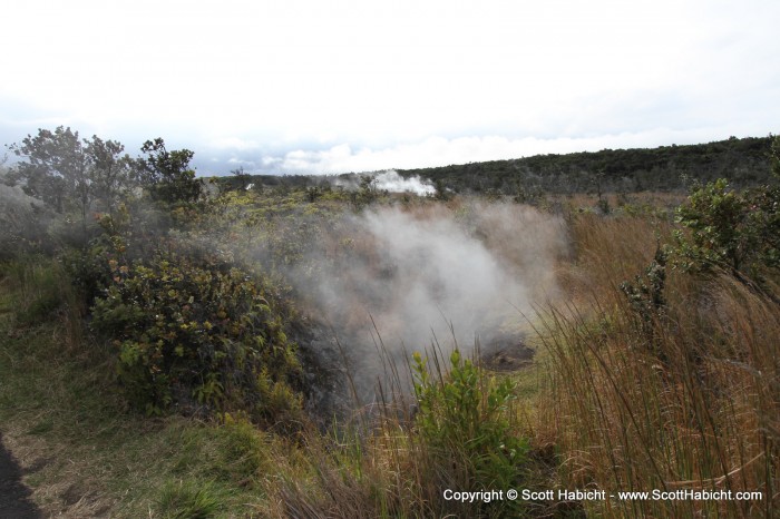 Far down the same path is an area with steam vents all over the place.