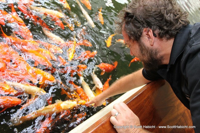 The fish at the entrance of the resort would nibble on your finger.