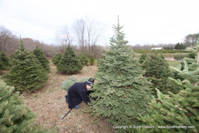 On the way home, we picked up our Christmas tree to end our Thanksgiving weekend!!