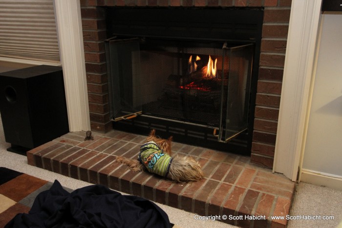 Riley loves the fireplace on cold nights.