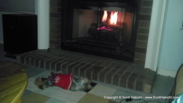 See, he just loves the fireplace.