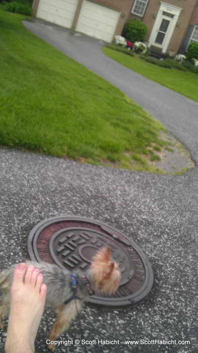 Barefoot for a walk in the wet grass.