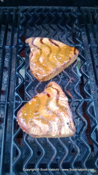 Tuna steaks on the grill.