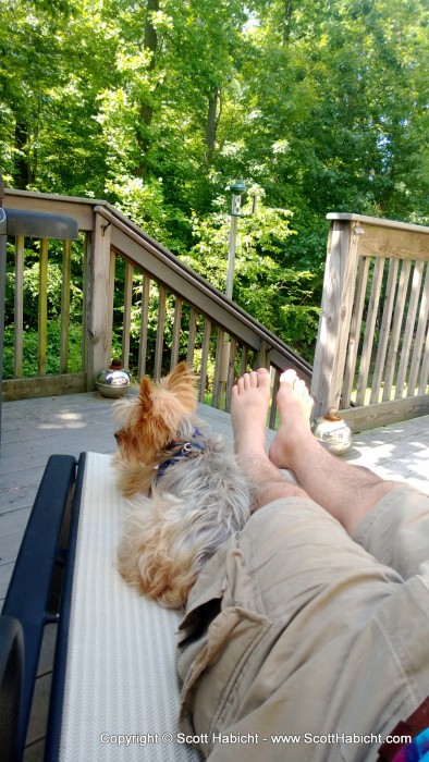 With nothing to do on a Saturday morning, I relaxed on the deck with Riley...