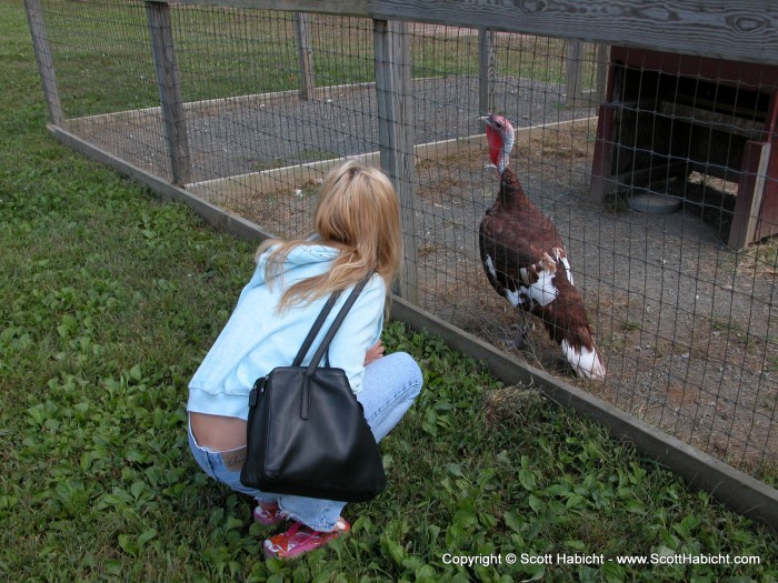 Look at that turkey, not to mention the bird in the cage!!