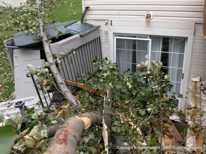 My Sliding glass door, my shed.....