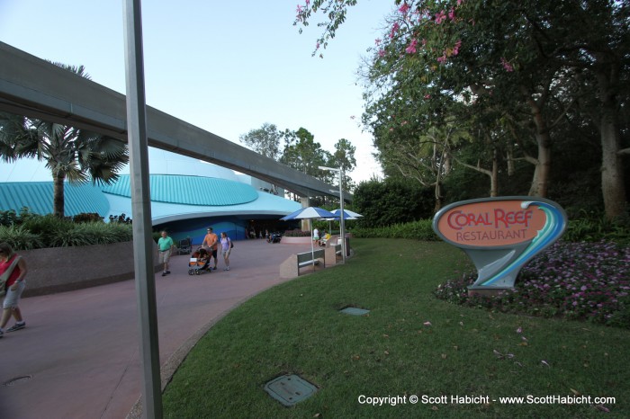 At the Coral Reef Restaurant in Epcot.