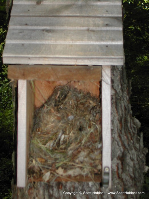 We found this abandoned Bird box with a mouses nest. We cleaned it out in hopes that a bird may make it as a home.