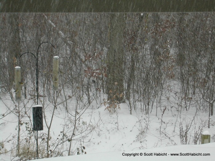 The snow, as you can see, was coming down very hard.