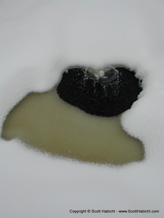 This is a pond in my brother's backyard. Notice the heart shaped water mark...