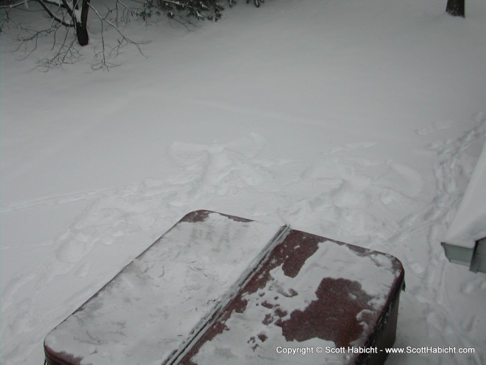 Snow angels while we were in the hot tub. It was quite a relaxing day.