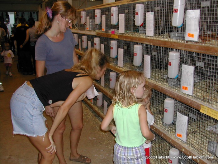 Kelli checks out some animals at the Montgomery county fair.