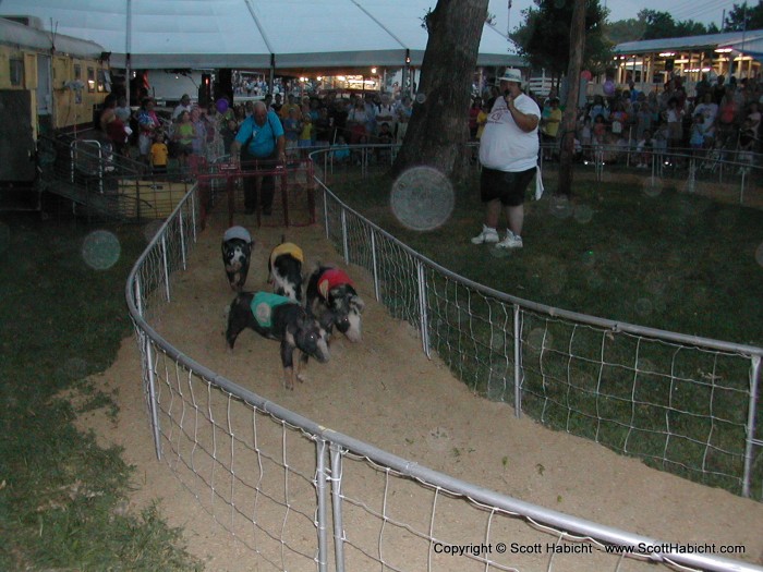 And here they go, notice the announcer is not in the race.