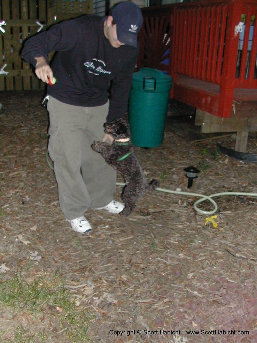 Mark gets his dog Joe to jump for a ball.