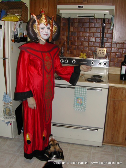 This picture clearly shows that Queen Amidala is nothing more than a housewife.