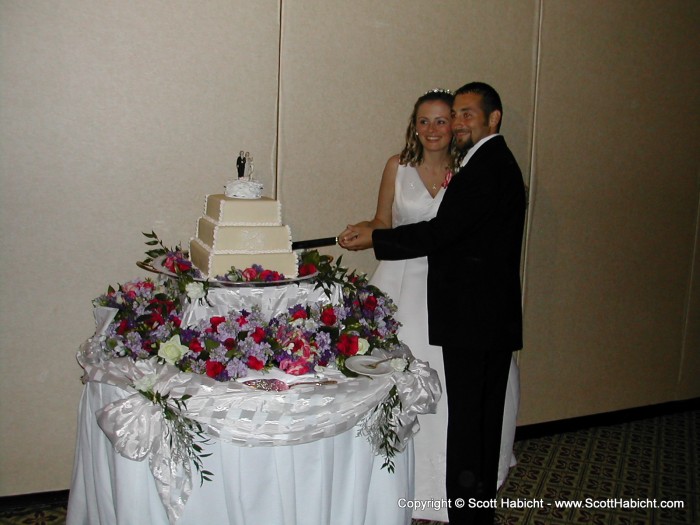 Erin and Darin cutting the cake.