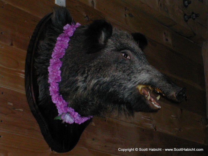 And at this party, even the "bore" on the wall got laid.