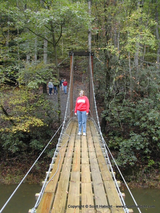 Laura decided that the bridge was safe enough for her too.