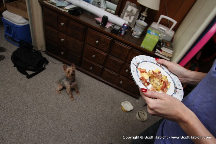 Well that is all for Easter, but Riley is happy with Easter leftovers!!!