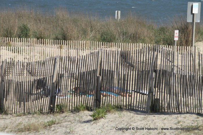 I've never seen anyone laying out on that side of the dune before.