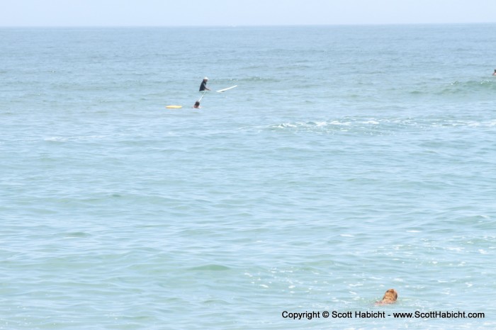 The guy surfing was parked next to us, and his dog wanted to follow him.